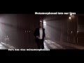 Capture de la vidéo Yoann Freget - Sauras Tu M'aimer (Lyrics With Engsub)