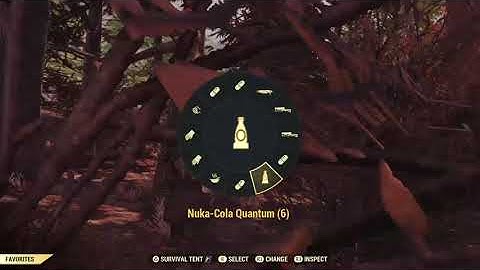 Fallout 76 pvp  workshop raid