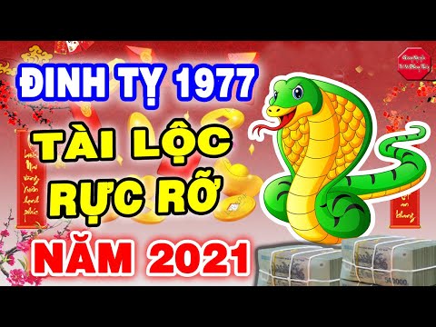 Video Đinh Tỵ 1977 Năm 2021, Bất Ngờ Được Thần Tài Ban Lộc,... - youtube