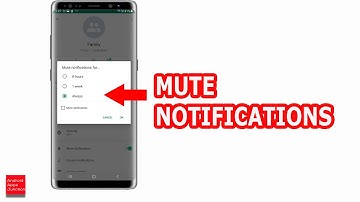 How to Mute WhatsApp Group Notification so that You Don