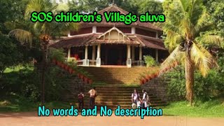 Hermann Gmeiner , Save Our Soul Organization