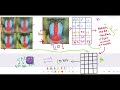 stegno= stat stegno, method