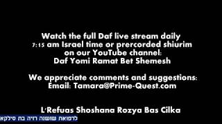 8 Min Daf - Chullin Daf 102  by R’ Eli Stefansky