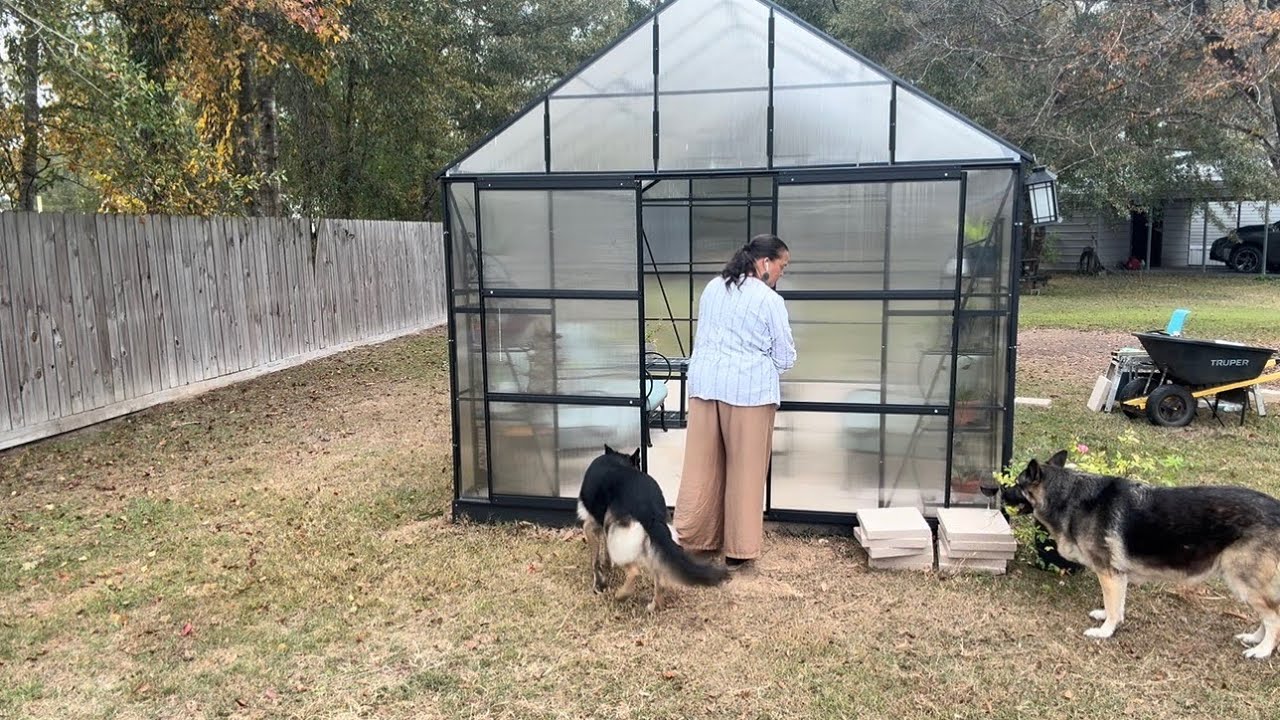Предварительный запуск теплицы 🌱🩵
