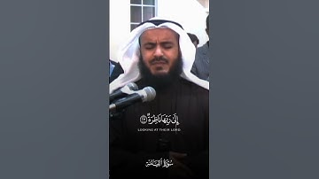 من سورة القيامة | مشاري راشد العفاسي.