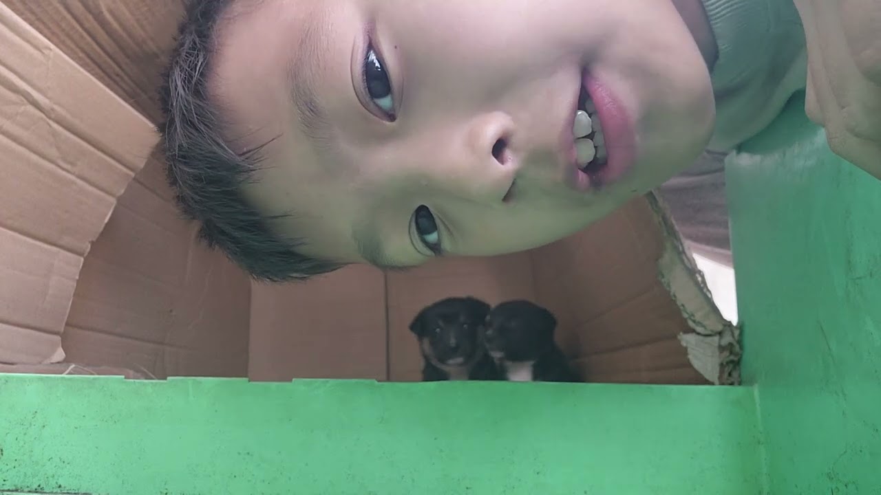 Just a boring vide0 ( so boring)