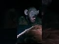 Oh no oh no #shorts #twitch #twitchclip #gaming #fallout4 #monkey #short