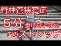 【脊柱管狭窄症】5分歩けないならこのストレッチ