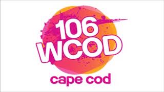 Laura Vorreyer, author and pet care expert, on WCOD-FM (Hyannis, MA)