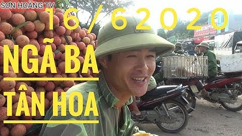 Cập Nhật Giá Vải Thiều Lục Ngạn ngày 16/6/2020 tại ngã ba Tân Hoa ( Luc Ngan litchi )