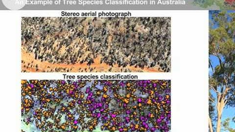 eCognition Image Analysis: Univ of Wales Webinar Part 3/3 (Tree Species Classification)