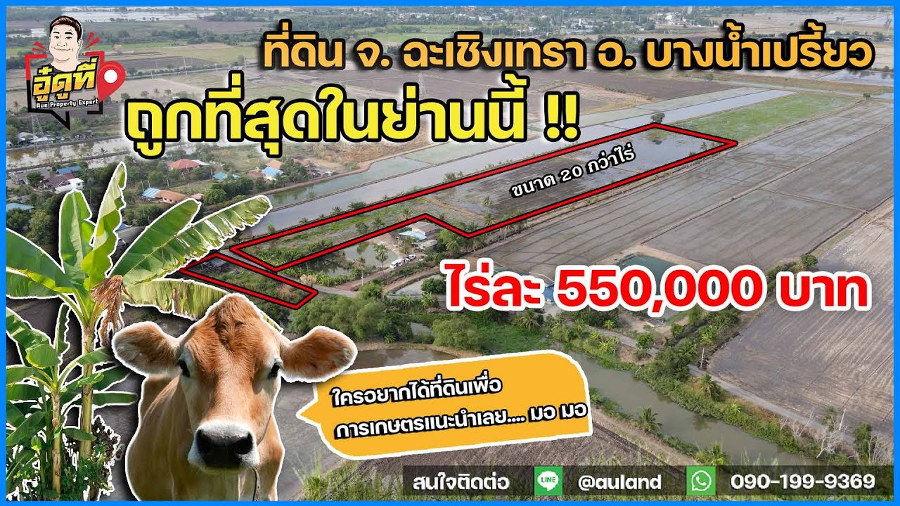 ที่ดิน ฉะเชิงเทรา อำเภอ บางน้ำเปรี้ยว ราคาถูก l อู๋ดูที่