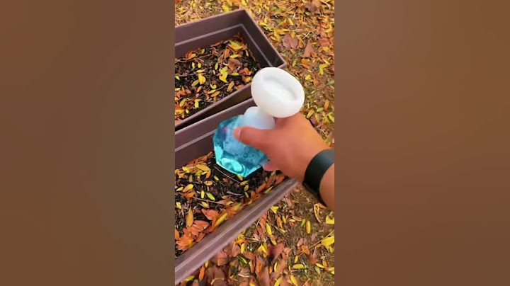 YOU Need To See This Soap Dispenser 😱🌸!! #shorts