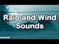 12 hours rain and wind sounds for sleeping  rainfall distant thunder wind ambience sleep sounds