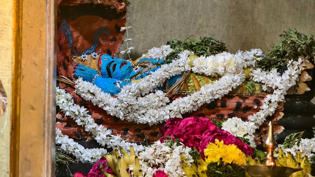 சாஸ்தா ஆட்டம் 🙏💥... 