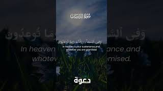 🌿 Signs on Earth – Surah Adh-Dhariyat