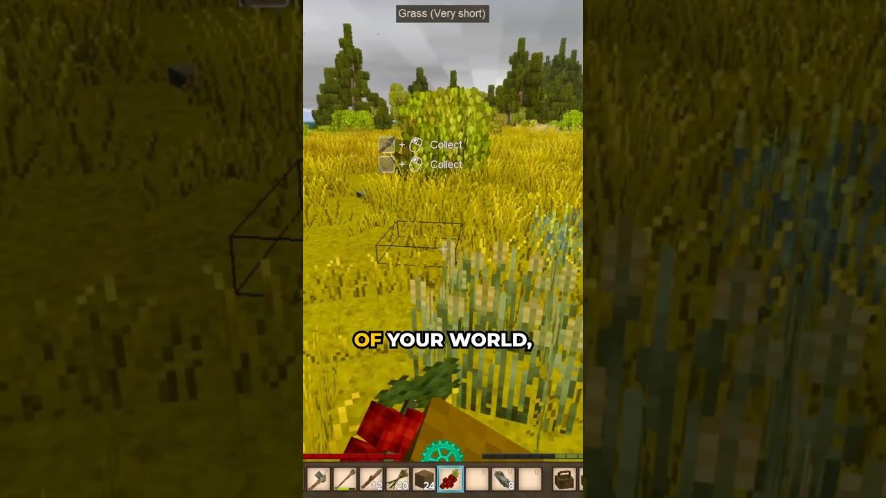 Загадочные южные регионы!🌏⬇️ 