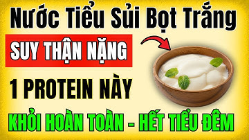 Người thận yếu, tiểu đạm? 5 nguồn protein lành tính – 5 loại protein khiến thận suy nhanh!