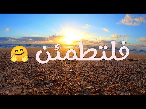 وهو الذي سخر البحر لتأكلوا منه لحما طريا القارئ عبد العزيز الزهرانى التفسير بالوصف