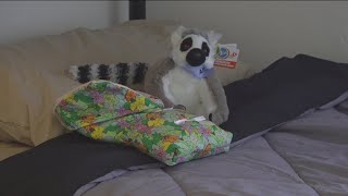 Applications open for transitional housing program for women veterans
