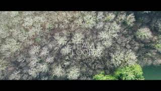 STEAM FLOOD