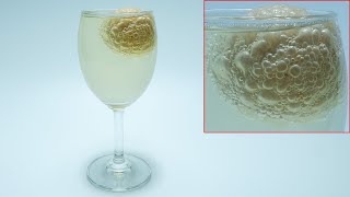 Chicken Egg in Vinegar Time Lapse - 50 Days in 50s