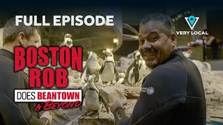 Boston Rob In The Wild  | Very Local