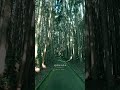 異世界感あふれるここ、おすすめです。