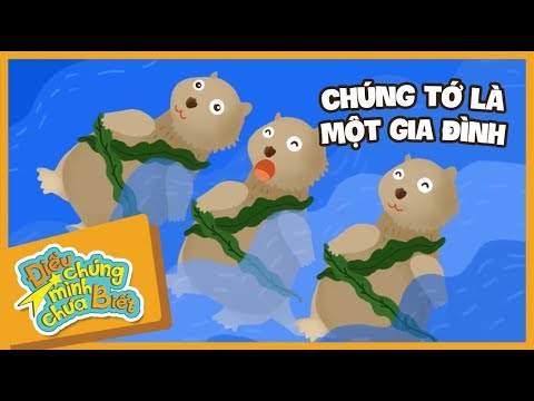 Chúng Tớ Là Một Gia Đình
