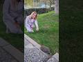 Daily Vlog Highlight: Cute Hedgehog Encounter in Spring Walk 🦔✨ #afternoonwalk #hedgehog #blossoms 🌸