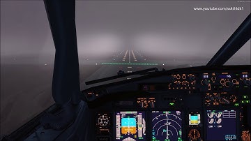P3D v4.4 PMDG 737 Low visibility landing at Incheon d/t Chinese micro dust with ezdok v3