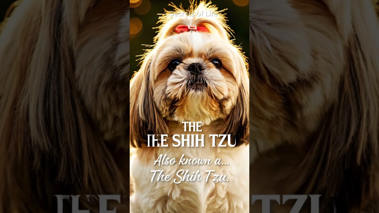 The Dog Bred to Hunt LIONS?  