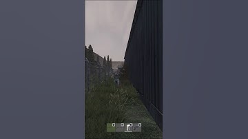 He running DayZ #shorts #dayz