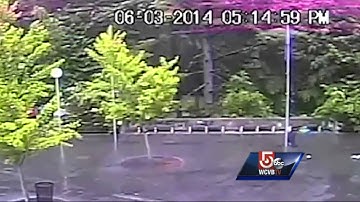 Lightning striking tree caught on camera