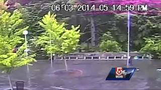 Lightning striking tree caught on camera
