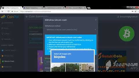 Withdrawal of BCH COINPOT TO COINS.PH..SOLVED
