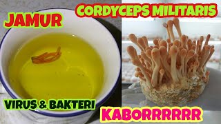 cordyceps parazita az emberben parazitálja a szereplőket és szerepeket