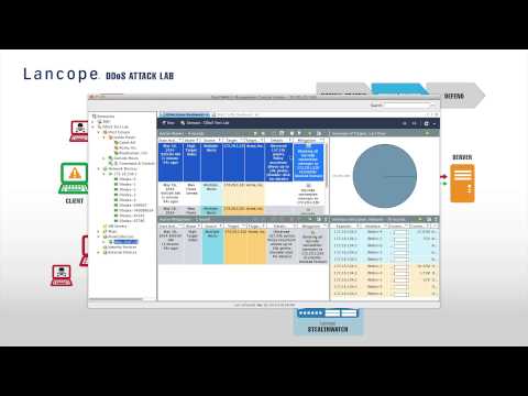 Non-intrusive DDoS Attack Detection and Mitigation