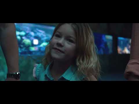 https://www.youtube.com/embed/-OWgYuiu2-M?rel=0