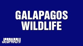 Galapagos Wildlife | Category | JEOPARDY!