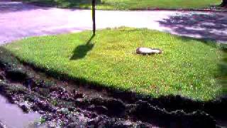 DEFFENBAUGH DISPOSAL SERVICE JUST DOESNT CARE Video 13a