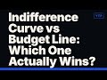 Indifference Curve vs Budget Line: Which One Actually Wins?