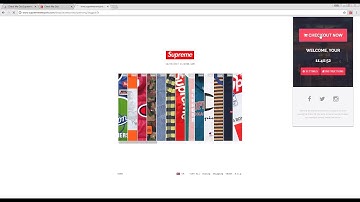 Check Me Out Supreme Bot - Installation & Usage Guide