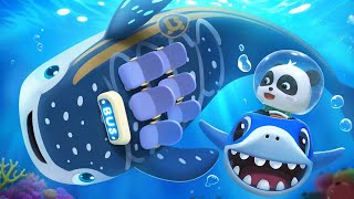 Whale Shark Bus | Wheels on the Bus | Animal Cars | Nursery Rhymes & Kids Songs | BabyBus