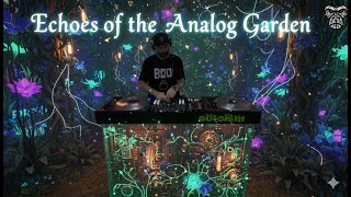 Download Lagu 🎧 Echoes of the Analog Garden: A Melodic Techno \u0026 Organic Synthesis  MP3