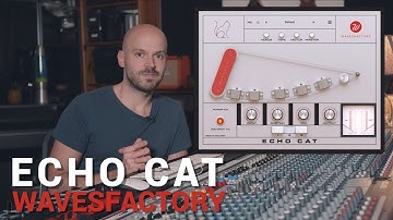 Echo Cat - Tape Delay Plugin | Wavesfactory