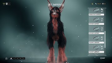 Warframe WDIF Kubrow, Helminth Charger & Kavat Breeding Basics