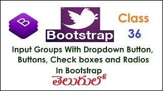 Input Groups With Dropdown Button, Buttons, Check boxes &Radios In Bootstrap Telugu 36 ITutorial
