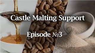 Optimum Yeast Strain for Refermentation | Invert Sugar Vs Trisuc | Wheat Malt or Acid Malt