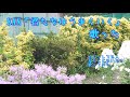 KAN「君たちはうまくいく」歌った
